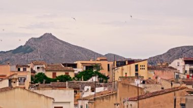 Alcudia şehri manzarası, çatılarda kırlangıçlar uçuşuyor. Yüksek kalite 4k görüntü