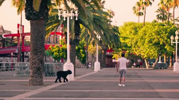 通りを横切って黒い犬を歩いている男 — ストック動画