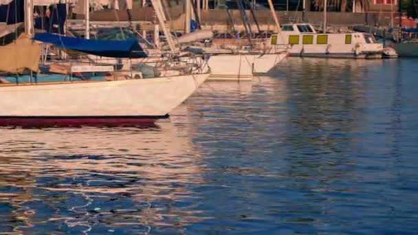 Grupp Båtar Som Flyter Vattenförekomst — Stockvideo