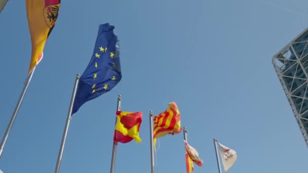 Havada Bayraklar Dalgalanıyor — Stok video