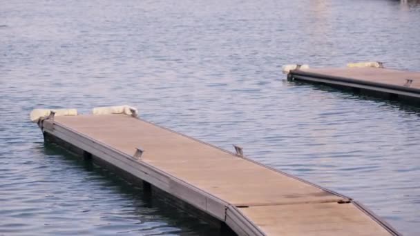Bir Çift Kuş Rıhtımda Oturuyor — Stok video