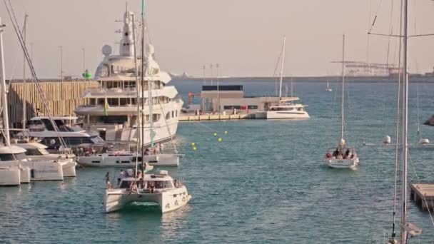 一个满是白船的港口 — 图库视频影像