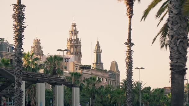 Een Stad Met Veel Hoge Gebouwen Palmbomen — Stockvideo