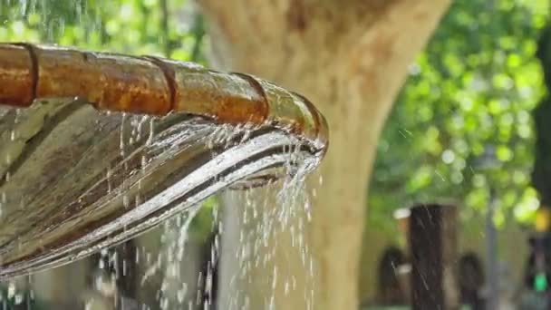 Vízsugarak Folynak Szökőkút Tálján Kiváló Minőségű Felvételek — Stock videók