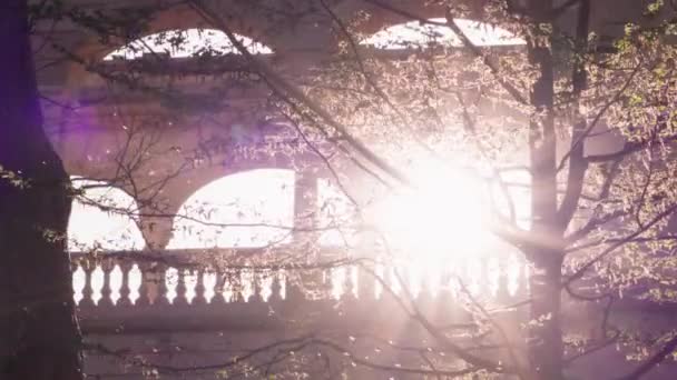 Güneş Bir Ağacın Dalları Arasında Işıl Işıl Parlıyor — Stok video