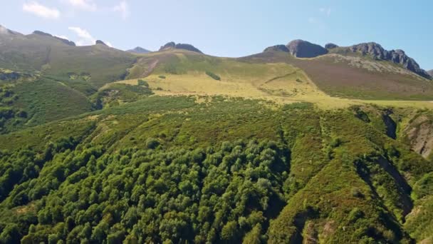 Scenic View Mountain Range Green Trees — Stock Video