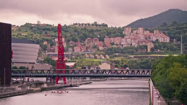 Grue Rouge Assise Majestueusement Sur Bord Rivière — Video