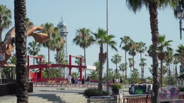 一个以棕榈树和游乐场为背景的公园 — 图库视频影像