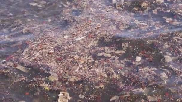 Большое Количество Мусора Виднеется Плавающим Поверхности Воды Загрязняя Окружающую Среду — стоковое видео