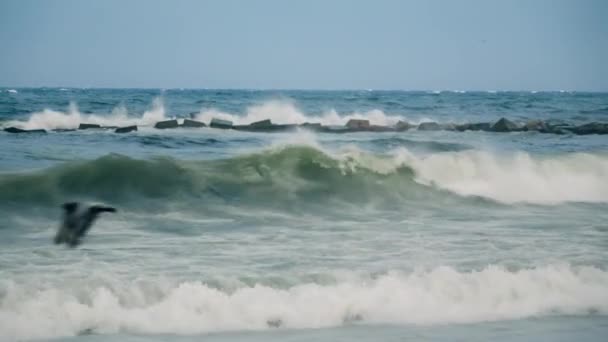 Osoba Umiejętnie Jeździ Deską Surfingową Falach Ogromnym Oceanie — Wideo stockowe