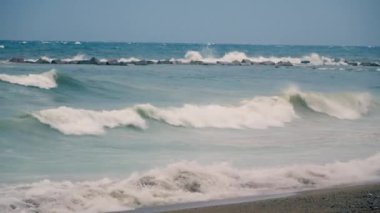 Güneşli bir günde, tek başına, kumlu sahilde okyanus dalgaları arasında geziniyor..