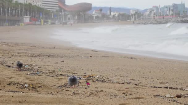 Загрязненный Пляж Заполненный Различными Мусорными Баками Такими Пластиковые Бутылки Обертки — стоковое видео