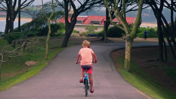 Woman Bike Riding Road Surrounded Trees — Vídeo de stock