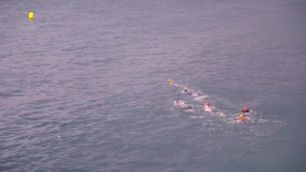 Several Individuals Enjoying Swim Ocean Sunny Day — Video