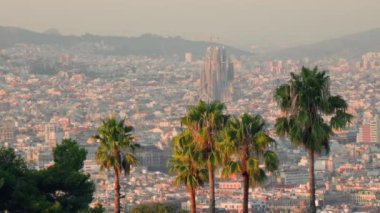 Arka planda yüksek binalar, ön planda palmiye ağaçları olan temiz bir gökyüzünün altında..