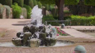 Güneşli bir günde, sakin bir bahçede yemyeşil ve renkli çiçeklerle çevrili büyüleyici bir çeşmeden zarif bir şekilde su akar..