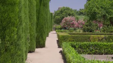 Huzurlu bir patika, berrak bir gökyüzünün altında düzgün budanmış çitlerle ve açan pembe çiçeklerle çevrili canlı bir bahçeyi keser..