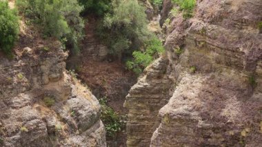 Derin bir kanyon, canlı yeşilliklerle çevrili sert kaya oluşumlarını ortaya çıkarır. Güneş ışığı ağaçların arasından süzülüp aşağıdaki engebeli araziyi aydınlatıyor..