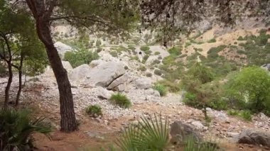 Bereketli yeşillik, sakin bir manzarada engebeli kayaları çevrelemektedir. Güneş ışığı ağaçların arasından süzülerek doğal parkta barışçıl bir atmosfer yaratır..