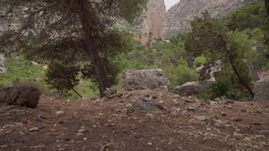 Huzurlu bir dekor sergiler kayalık çıkıntılar ve canlı yapraklar arasında ağaçlar gün ışığında dağ oluşumlarını ortaya çıkarır..