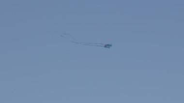 Canlı bir uçurtma, açık mavi gökyüzüne karşı zarif bir şekilde süzülür kuyrukları, güneşli bir öğleden sonra parkta hafif bir rüzgarda dalgalanır..