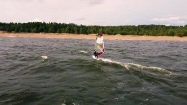A skilled windsurfer glides across gentle waves while vibrant sails catch the summer breeze, surrounded by lush green forests along the shore.