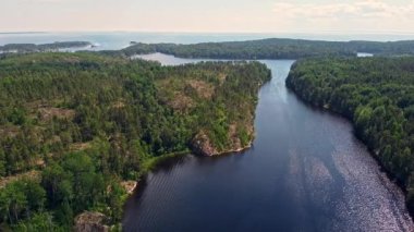 Berrak bir gökyüzü altında canlı yeşilliklerle çevrili dolambaçlı bir nehrin nefes kesici manzarası, dingin doğayı yansıtıyor..