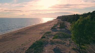 Altın ışınlar güneşin doğuşunda sakin bir sahili aydınlatır. Etrafı yemyeşil ve kumlara vuran nazik dalgalarla çevrilidir..