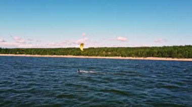 Uçurtma sörfçüleri, güneşli bir günde, yemyeşil bir orman ve parlak mavi gökyüzü ile çevrili yumuşak dalgalar üzerinde heyecanlı bir gezinti yaparlar..