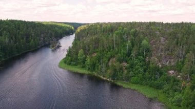 Sakin bir nehir, berrak mavi gökyüzünün altında canlı yeşil bir ormanın içinde gezinir. Yazın keşif ve yansımaya davetiye çıkarır..