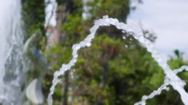 Su, güneşli bir günde canlı yeşilliklerle çevrili bir çeşmeden zarifçe fışkırır. Doğa ve sükunet burada güzel bir şekilde bir araya gelir..
