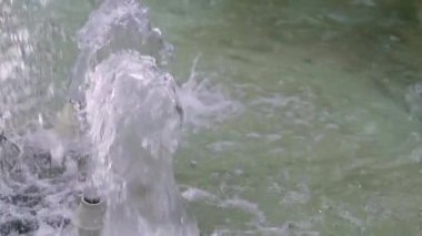 Yumuşak su püskürtüleri büyüleyici desenler yaratır, güneş ışığını yansıtır ve ziyaretçileri fıskiyenin parktaki sakin atmosferinin yakınında dinlenmeye davet eder..