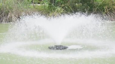 Çeşmeden zarif bir şekilde su fışkırır, yemyeşil ve sakin bir ortamda sersemletici bir görüntü yaratır sıcak öğleden sonra ışığı altında..