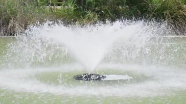 Su fıskiyesi, yemyeşil yemyeşil, huzurlu bir gölete nazikçe püskürtür. Güneş ışığı sudan yansıyarak sakin bir atmosfer yaratır..