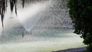 Suyun hafifçe püskürtülmesi güneş ışığında dans eder, yemyeşil yemyeşil bir vahada ışıl ışıl bir manzara yaratır..