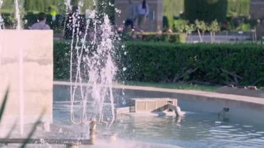 Ziyaretçiler, verimli, canlı bir bahçede güneşli bir günün tadını çıkarırken, dekoratif bir çeşmeden zarif bir şekilde fışkırır..