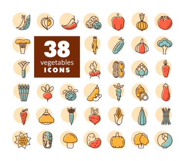 Sebzeler izole vektör simgeleri ayarlandı. Gıda ve içecek web sitesi için grafik sembolü, uygulama tasarımı, mobil uygulamalar ve yazdırma ortamı, logo, UI