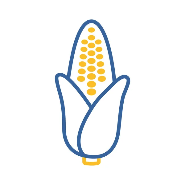 Изолированная Векторная Иконка Кукурузы Овощной Знак Графический Символ Пищевых Продуктов — стоковый вектор