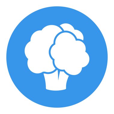 Karnabahar izole vektör sembolü. Sebze işareti. Gıda ve içecek web sitesi için grafik sembolü, uygulama tasarımı, mobil uygulamalar ve yazdırma ortamı, logo, UI