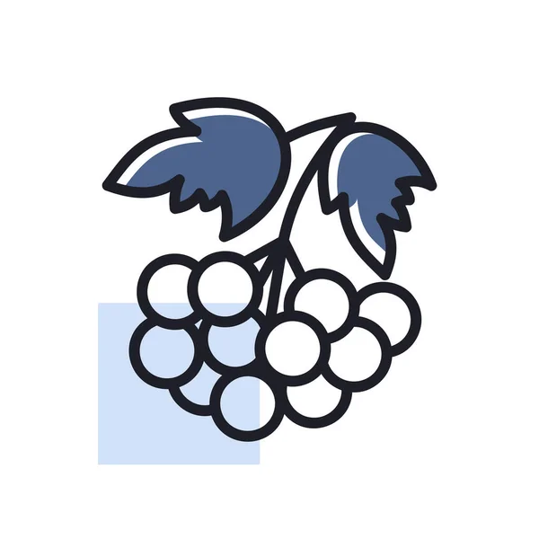 Rowan Branch Berries Leaf Vector Icon Graph Symbol Food Drinks — Vector de stock