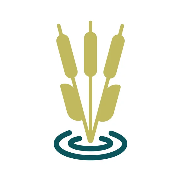 Roseaux Vecteur Végétal Icône Signe Naturel Symbole Graphique Pour Voyage — Image vectorielle
