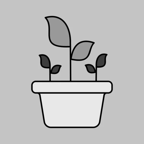 盆栽在孤立的病媒灰度图标 园林植物网站和应用程序设计 用户界面的图形符号 — 图库矢量图片