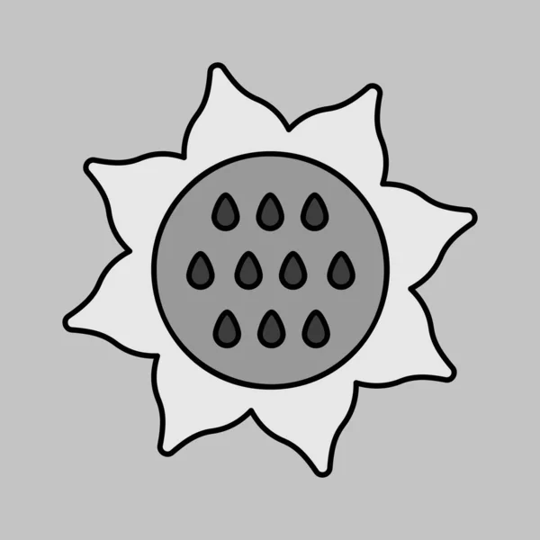 Solros Isolerad Vektor Gråskala Ikon Vegetabiliskt Tecken Grafisk Symbol För — Stock vektor