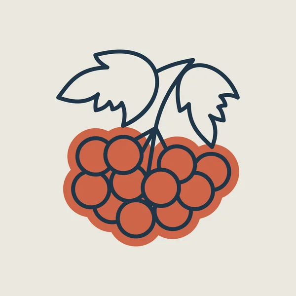 Rowan Branch Berries Leaf Vector Icon Graph Symbol Food Drinks — Wektor stockowy