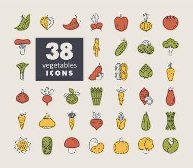 Sebzeler izole vektör simgeleri ayarlandı. Gıda ve içecek web sitesi için grafik sembolü, uygulama tasarımı, mobil uygulamalar ve yazdırma ortamı, logo, UI