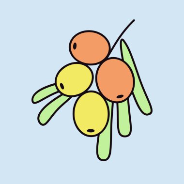 Sea buckthorn berry vector icon. Graph symbol for food and drinks web site, apps design, mobile apps and print media, logo, UI