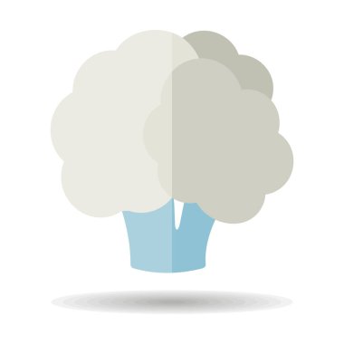 Karnabahar izole vektör simgesi. Sebze işareti. Gıda ve içecek web sitesi için grafik sembolü, uygulama tasarımı, mobil uygulamalar ve yazdırma ortamı, logo, UI