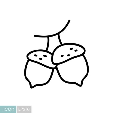 İki meşe palamudunun basit bir sanat simgesi. Bu illüstrasyon doğa, orman, sonbahar ve hasat mevsiminin cömertliği temaları için mükemmeldir..