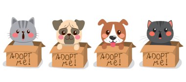 Home pets cute dog and cat characters. Vector cartoon set of funny domestic animals isolated on background clipart