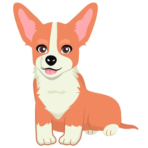 Corgi Dog Pet Vector Cartoon Illustration Cute Friendly Welsh Corgi — Stock Vector